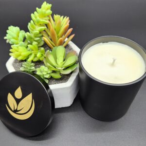 Succulent candles