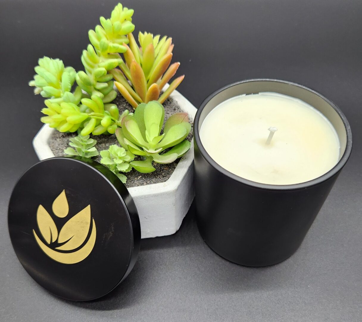 Succulent candles